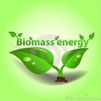 Biomass Energy EE logo - Similar company to Biomass Conversion Systems