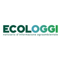 ECOLOGGI logo - Similar company to Ecosistema Scrl