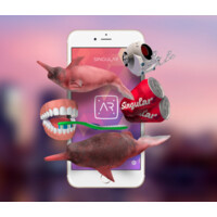 Singular Augmented Reality logo - Similar company to Pleiq - Augmented Education