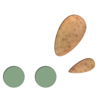 Homaë logo - Similar company to L'Escapade-Cosmetics