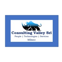 Consulting Valley logo - Similar company to Dubai Consulting