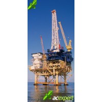 ACEXPERTS GROUP logo - Similar company to Muchilla Group