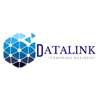 DataLink logo - Similar company to Data Link Solutions Llc