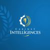 Cabinet Intelligences logo - Similar company to It Brains Consulting Group (Ib Consulting)