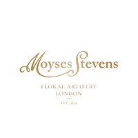 Moyses Stevens logo - Similar company to Wildabout
