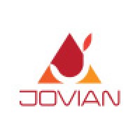 Jovian System