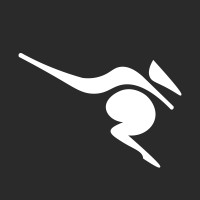 Roos Digital logo - Similar company to Troublemakers Idea Labs