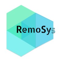 RemoSys logo - Similar company to Parna Technologies