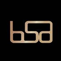 BSA Basketball logo - Similar company to Ringerike Panthers