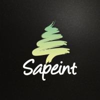 SAPEINT logo - Similar company to Rsol Fabricant De Revêtements En Résine Et Peintures De Sol