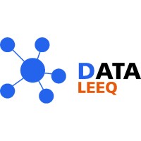 DataLeeq, LLC logo - Similar company to Aelaf Engineering