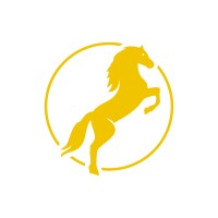 Stallion Fitness LLC logo - Similar company to Avionics Networks