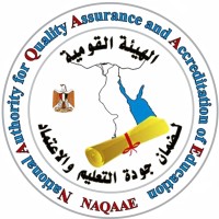 NAQAAE logo - Similar company to Altera Technology.Eg
