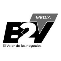 B2V Business to Value logo - Similar company to El Gran Bajío