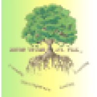 Journey Through Life, PLLC logo - Similar company to Chosen Behavioral