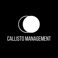 Callisto Management logo - Similar company to Tribe Interactive | Woocommerce Expert Agency