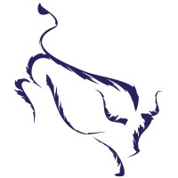 The Market Analysts Group LLC logo - Similar company to B-Pro Ltd.