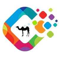 Digital Technology Camel logo - Similar company to Div Solutions