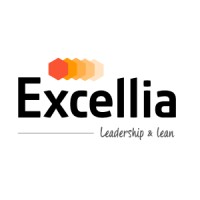 Excellia - Grupo Romero logo - Similar company to Bcts Consulting