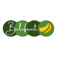 BELAFRUIT logo - Similar company to Farvardin Group