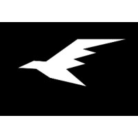 Fly Worldjet Aviation logo - Similar company to Swift Jet Aviation