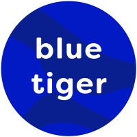 Blue Tiger Studio LTD logo - Similar company to Mdmv