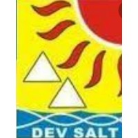 DEV SALT PRIVATE LIMITED logo - Similar company to Aaka Space Studio | 1St In Canada | 1St In Asia