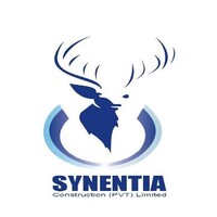 Synentia Construction logo - Similar company to Buildcraft Construction Solutions