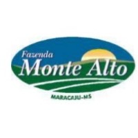 Grupo Monte Alto logo - Similar company to Monte Alto Agro
