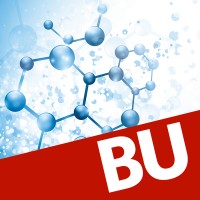 Boston University Nanotechnology Innovation Center logo - Similar company to Earlybird Conseil
