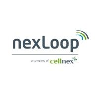 Nexloop France logo - Similar company to Networth Telecom