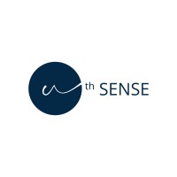 Nth Sense logo - Similar company to The Content Bot - Lead Generation With Seo - Rank Your Services In Page 01 And Close Sales