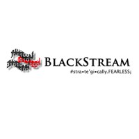 BlackStream LLC logo - Similar company to Clawpoint Security Collective