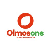 Olmos One logo - Similar company to Pro Olmos