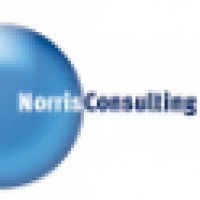Norris Consulting logo - Similar company to Nodis Consulting