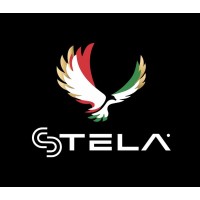 STELA inc. logo - Similar company to Teach Rwanda