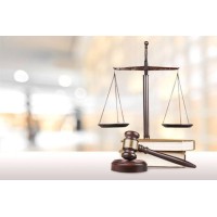 Lex Peritus Consultants & Solicitors, LLP (a.k.a Pandey & Pandey Associates) logo - Similar company to Legum Turtle