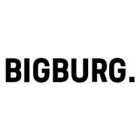 Bigburg GmbH logo - Similar company to Camgenix