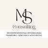 MS Consulting logo - Similar company to Rinaldi Lab