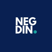 Negdin logo - Similar company to Globe Power