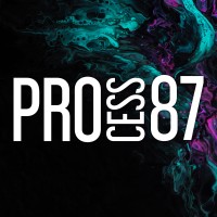 Process87 logo - Similar company to Documinute Films