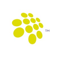 Padel Design logo - Similar company to Ampx