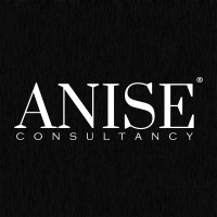 Anise Consultancy logo - Similar company to Samadrock | Egypt