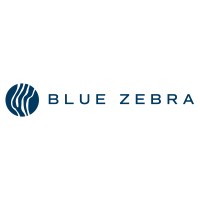 Blue Zebra logo - Similar company to Dlhc - Cpas And Advisors
