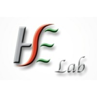 HSE Lab logo - Similar company to Alme