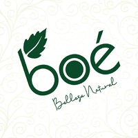 Boé Dominicana SRL logo - Similar company to Sh Marketer