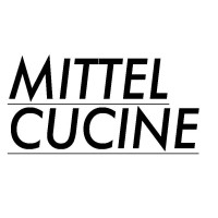 Mittel srl logo - Similar company to Vittinox Srl