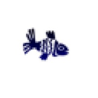 Freedom Diving Limited logo - email format related to GAM STUART LIMITED