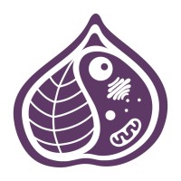 EffiScientiFig logo - Similar company to Mon Petit Potager