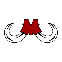 Mammoth-AI logo - Similar company to Big Entities